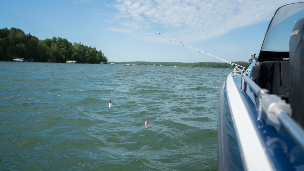 View of Leech Lake from a boat