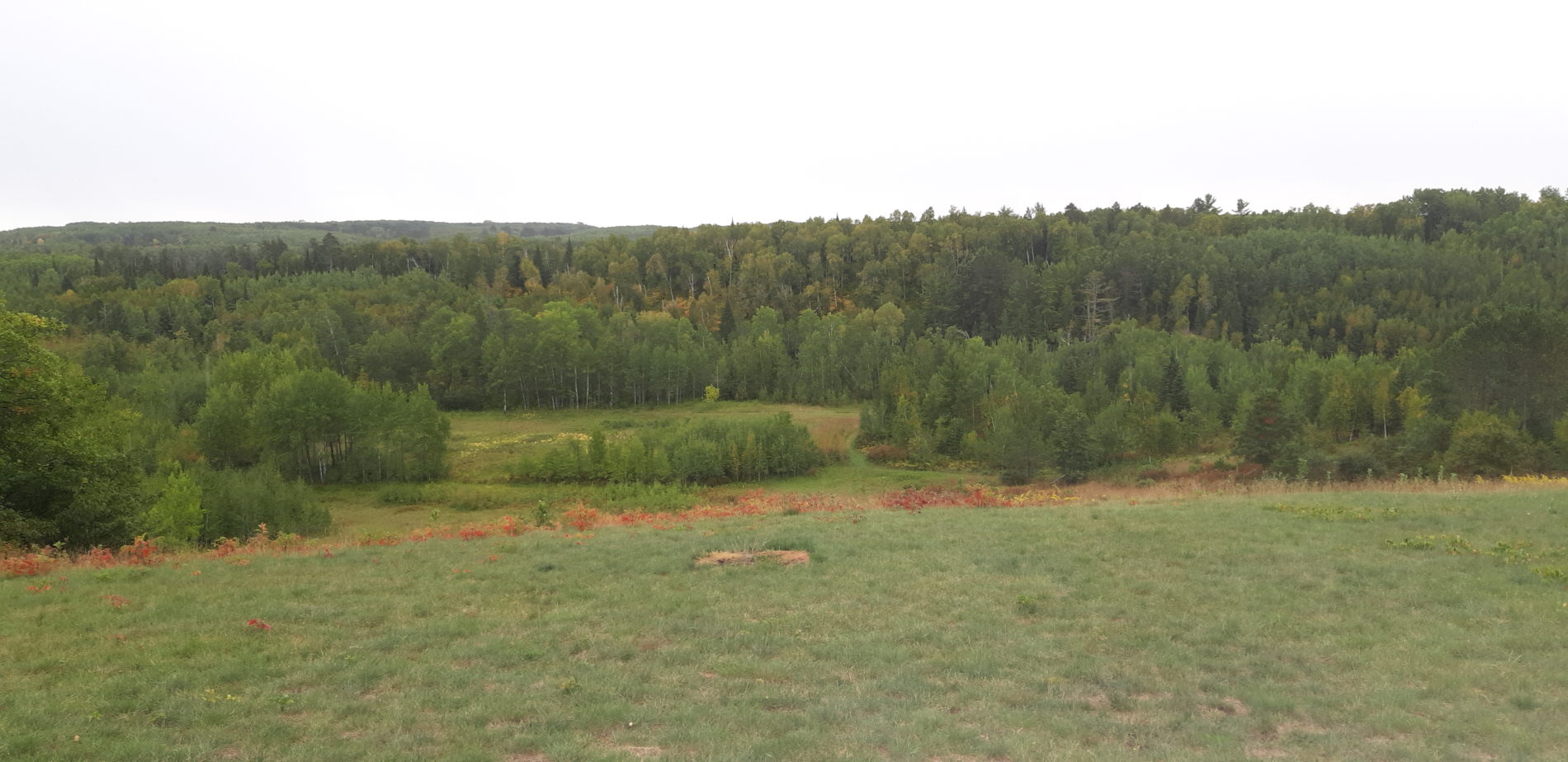 Fall Color Favorites Mary Nordeen Chippewa National Forest